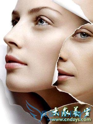 ����˥�ϵ�ʮ��ԭ�������м��(2)