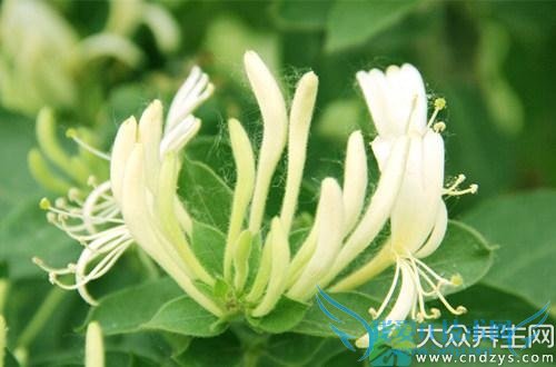 �и��ܺȽ�������ˮ