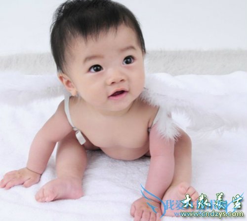 ����ʪ���