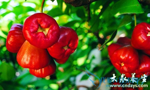 �и��ܳ�������