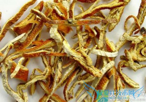 �������ܳԳ�Ƥ��