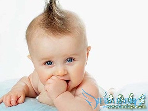 �������ָ�ʹĪ�ż���ҽ��(5)