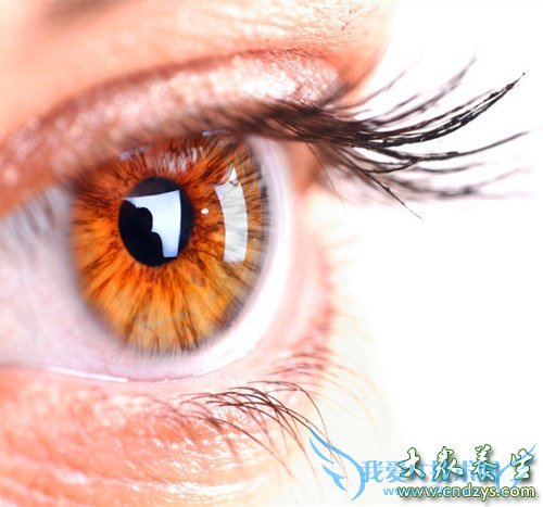 ����ͫ�ĺ��