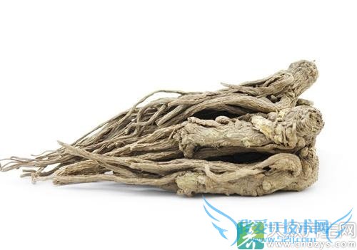 �����ڿ��ԳԵ�����