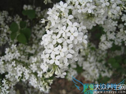 ��Ѫѹ�ܳԶ�����