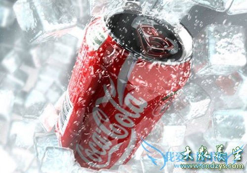 Σ�����������ģ���ʳ��(2)