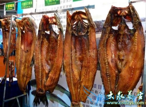 ��Ѫѹ�ܳ�������