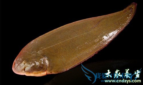 �и��ܲ��ܳ�������