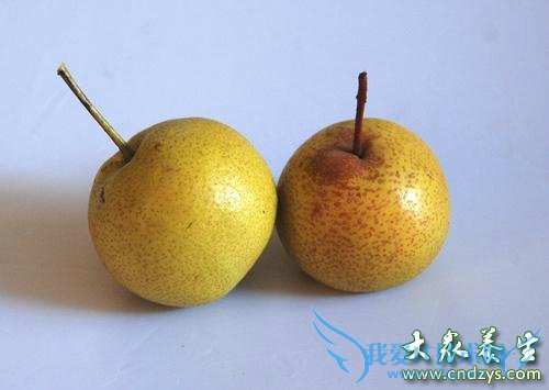 �����ڿ��Գ�������