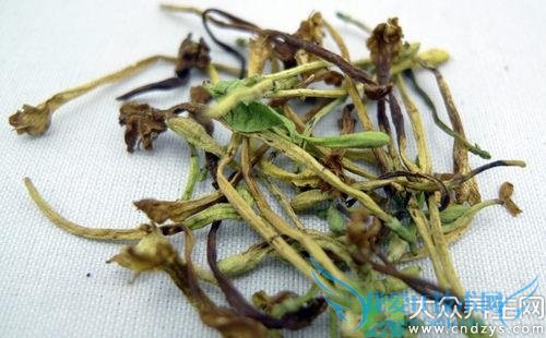 ��Ѫѹ�ܺȽ���������