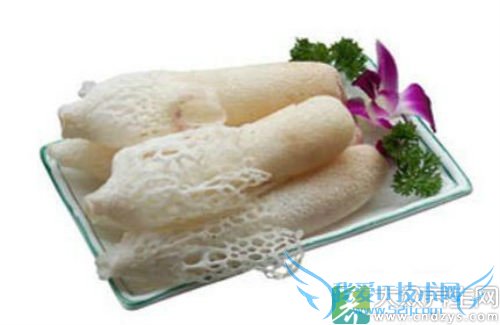 �����ܳ���ݥ��