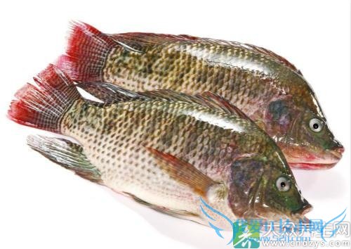 �����ܳ��޷�����