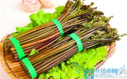 �����ܳ�ާ����