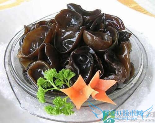 ���¾����Գ�ľ����