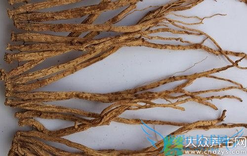 �������ܳԵ�����