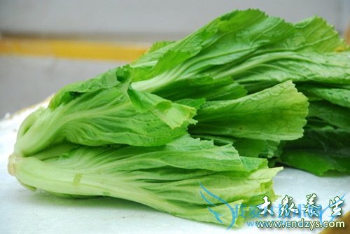 �����ܳ���魲���