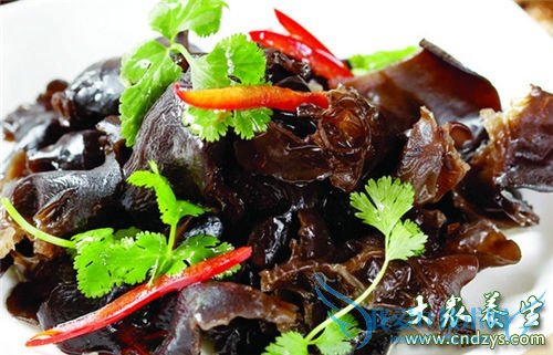 ���п��ԳԺ�ľ����