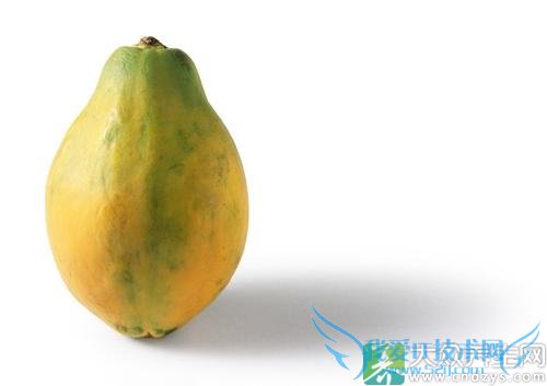 Ƥ�������ܳ�ľ����