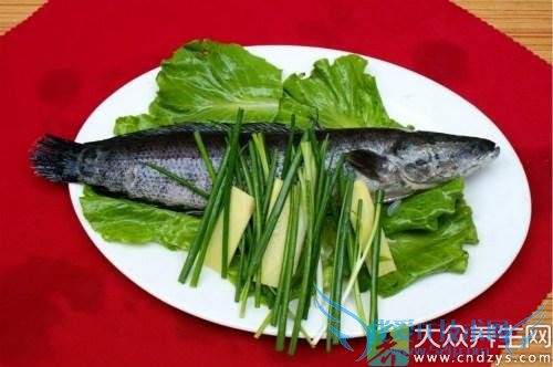 �������ԳԺ�����