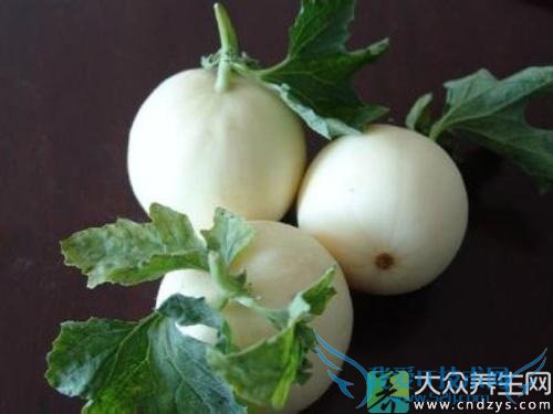 Ƥ�������ܳ԰�������