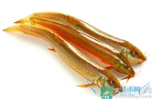 һʱ���������������� �����и��������?(5)