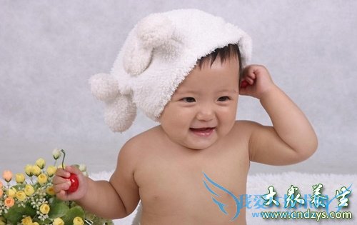 ������ʳ����