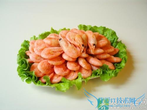 ���˳���Щʳ��Ԥ�����(5)