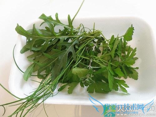 �и����Գ�֥�����