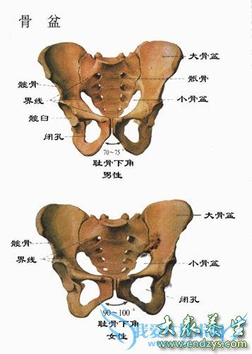 ������λ=������+���С�(1)