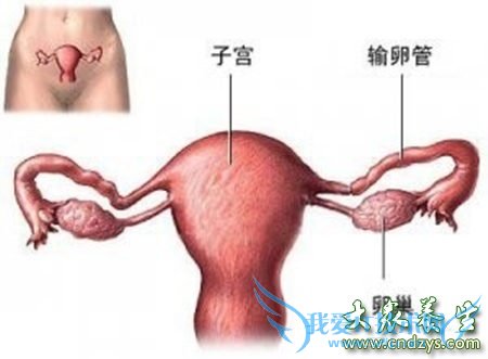 ���м����� ��׼��Դ�β���(3)