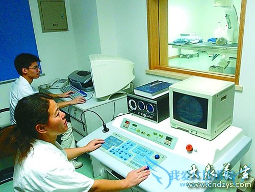 ���м����� ��׼��Դ�β���(4)