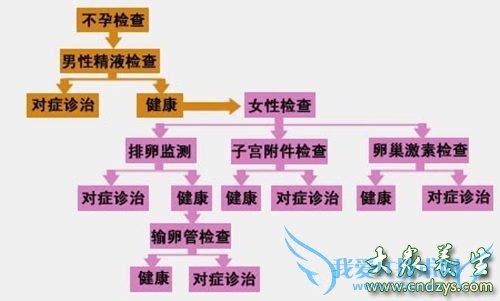 ���м����� ��׼��Դ�β���(1)