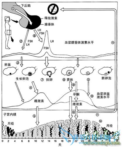 ���м����� ��׼��Դ�β���(5)