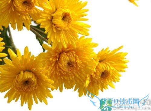 �и��ܳԾջ���