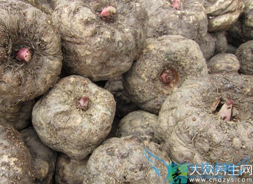 Ƥ�������ܳ�ħ����