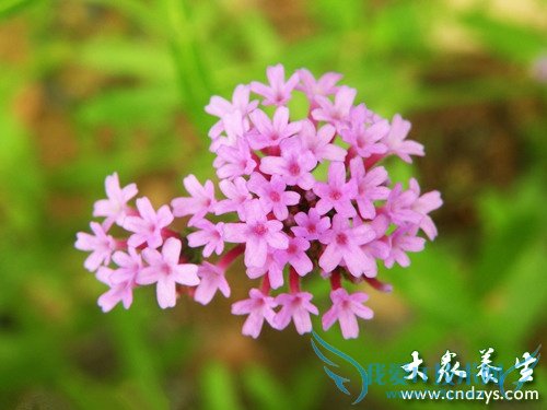 �и��ܳ����޲���