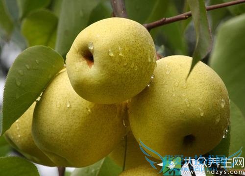 �¾��ڿ��Գ�����