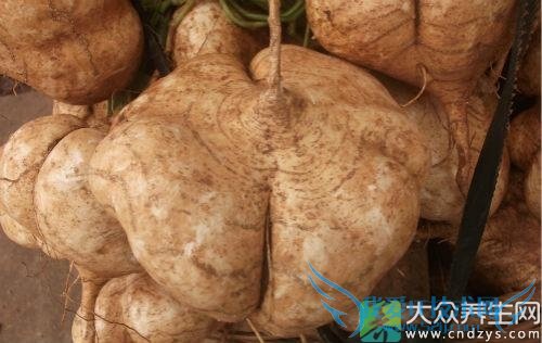 �и��ܳԶ�����