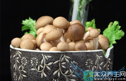 �����ܳ�зζ����  