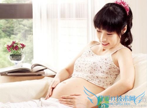 ���е�Ԥ��