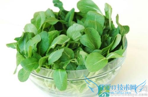 Ƥ�������ܳ��Ͳ���