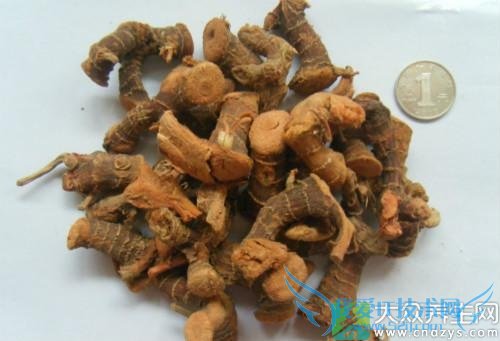 �����ܳԸ�������