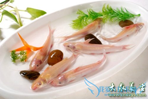 �и��ܳԽ�˿����