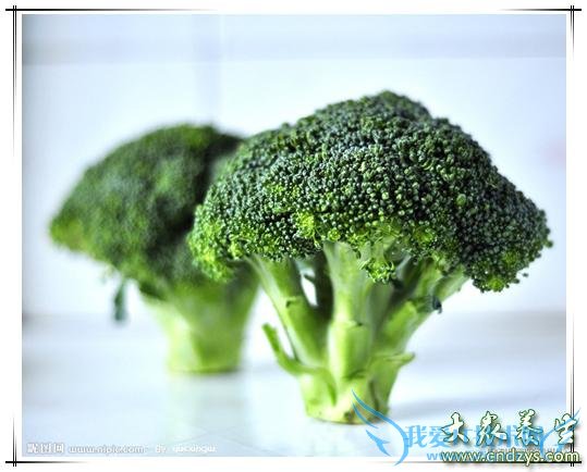 ����Ů�Գ���Щʳ�����̲���(8)