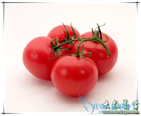 ����Ů�Գ���Щʳ�����̲���(6)