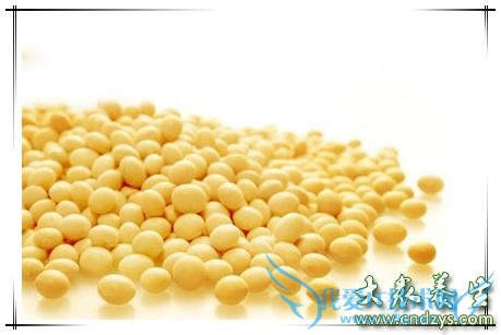 ����Ů�Գ���Щʳ�����̲���(9)