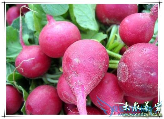 ����Ů�Գ���Щʳ�����̲���(2)