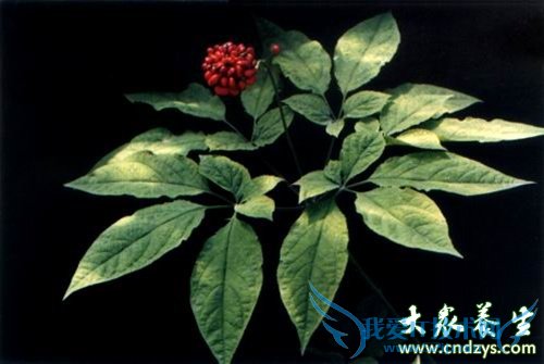 �м���˽�����ı��������ɳ�(8)