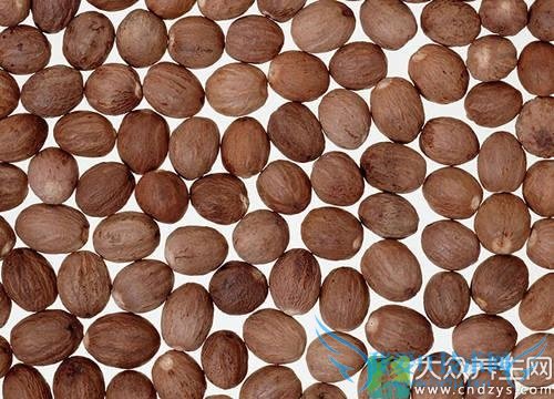 �������ܳԲݹ���