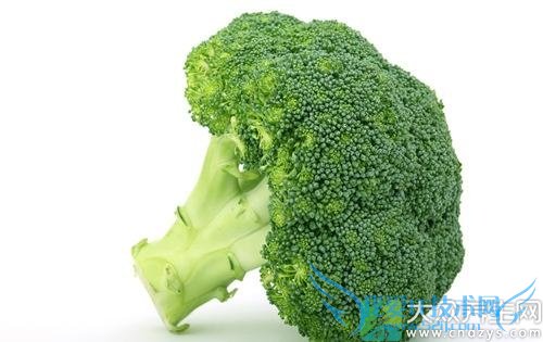 �������ܳԻ�Ҭ����